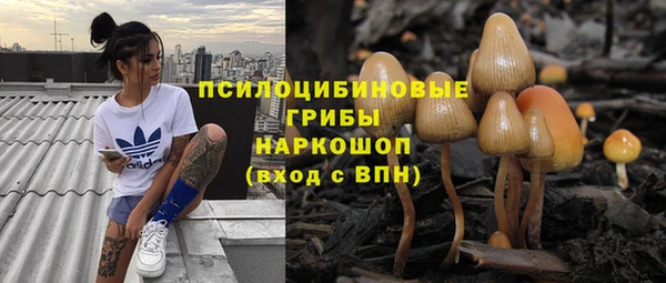 герыч Аркадак