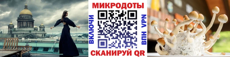 наркота  blacksprut рабочий сайт  Галлюциногенные грибы Psilocybine cubensis  Мценск 